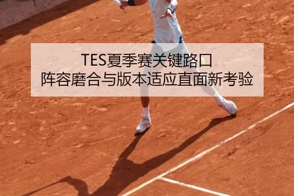 TES夏季赛关键路口 阵容磨合与版本适应直面新考验